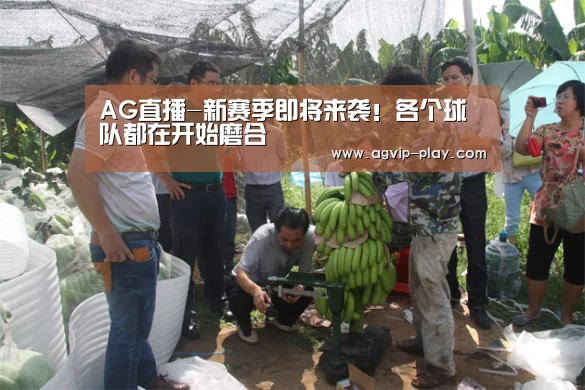 AG娱乐