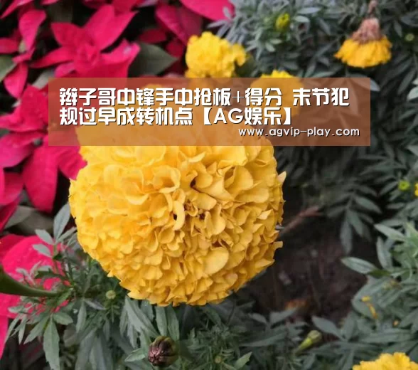 AG娱乐
