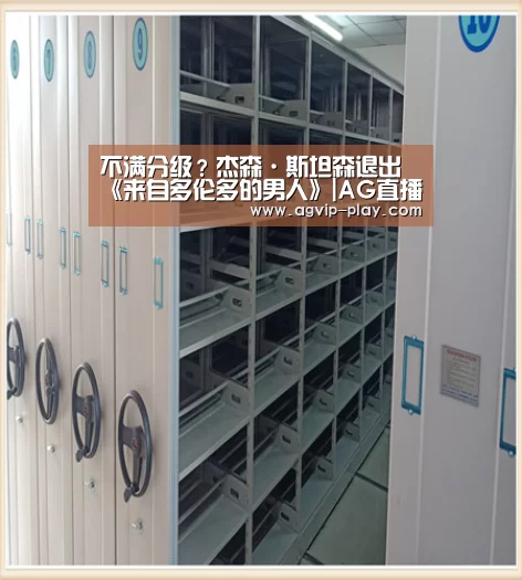 不满分级?杰森·斯坦森退出《来自多伦多的男人》|AG直播(图1) AG国际厅