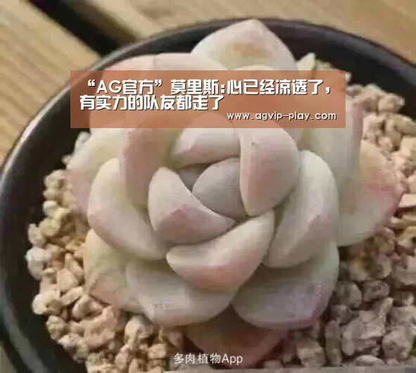 AG直播