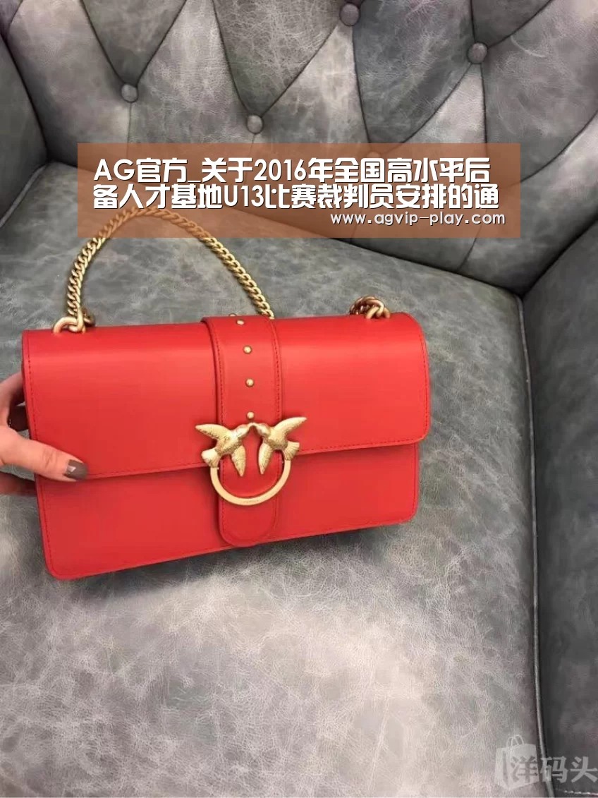 AG官方_关于2016年全国高水平后备人才基地U13比赛裁判员安排的通知(图3) AG国际厅
